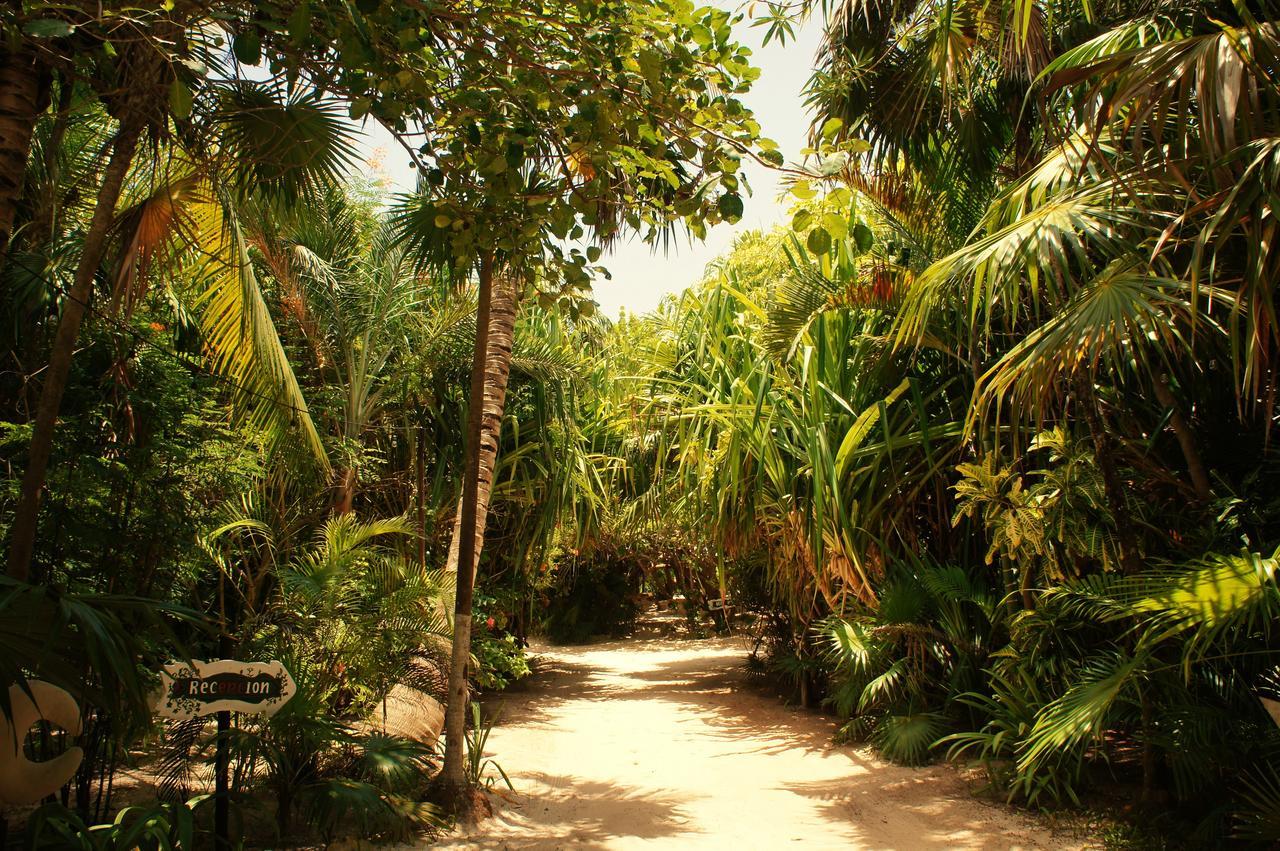 Cabanas La Luna Otel Tulum Dış mekan fotoğraf