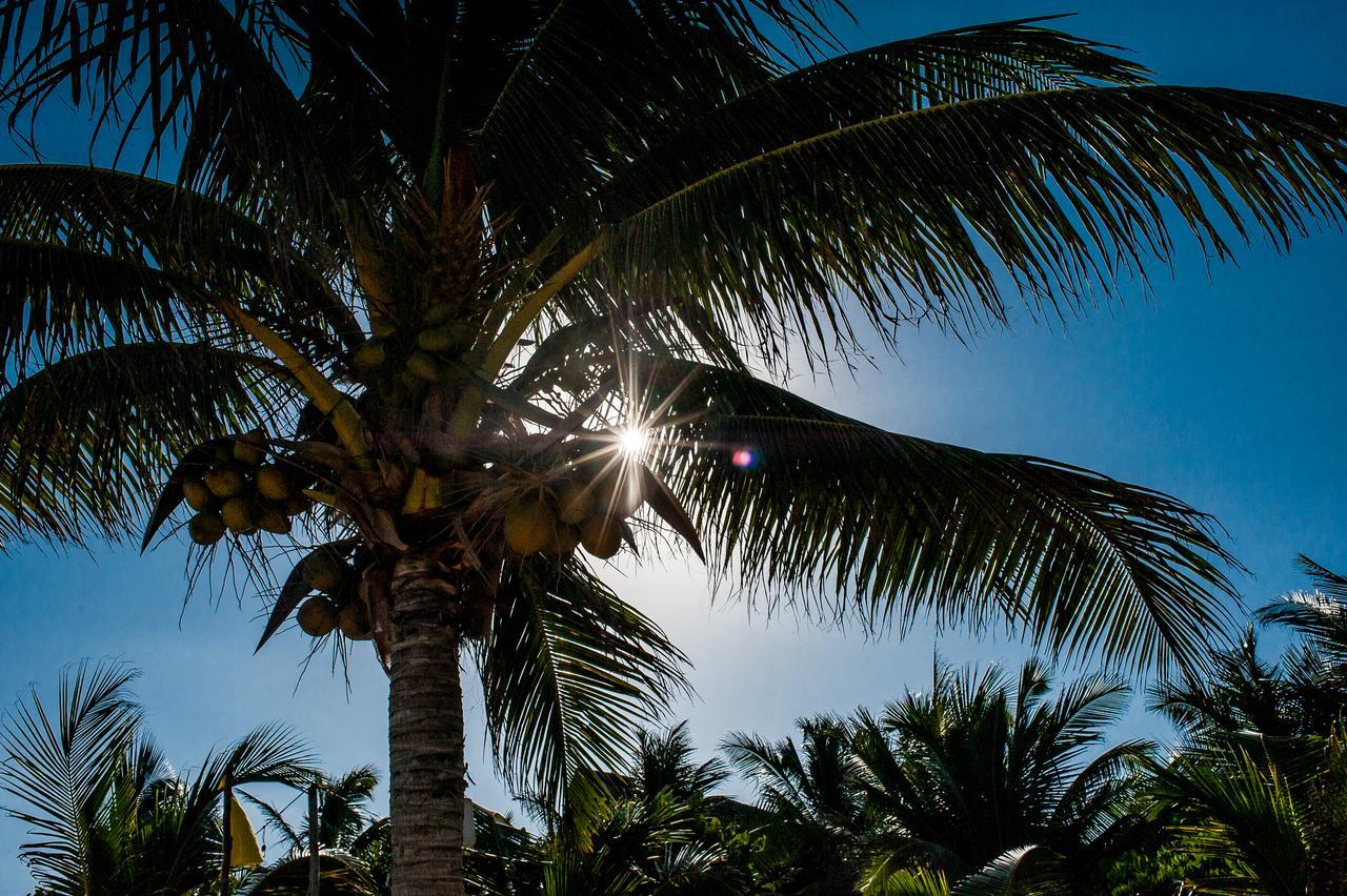 Cabanas La Luna Otel Tulum Dış mekan fotoğraf